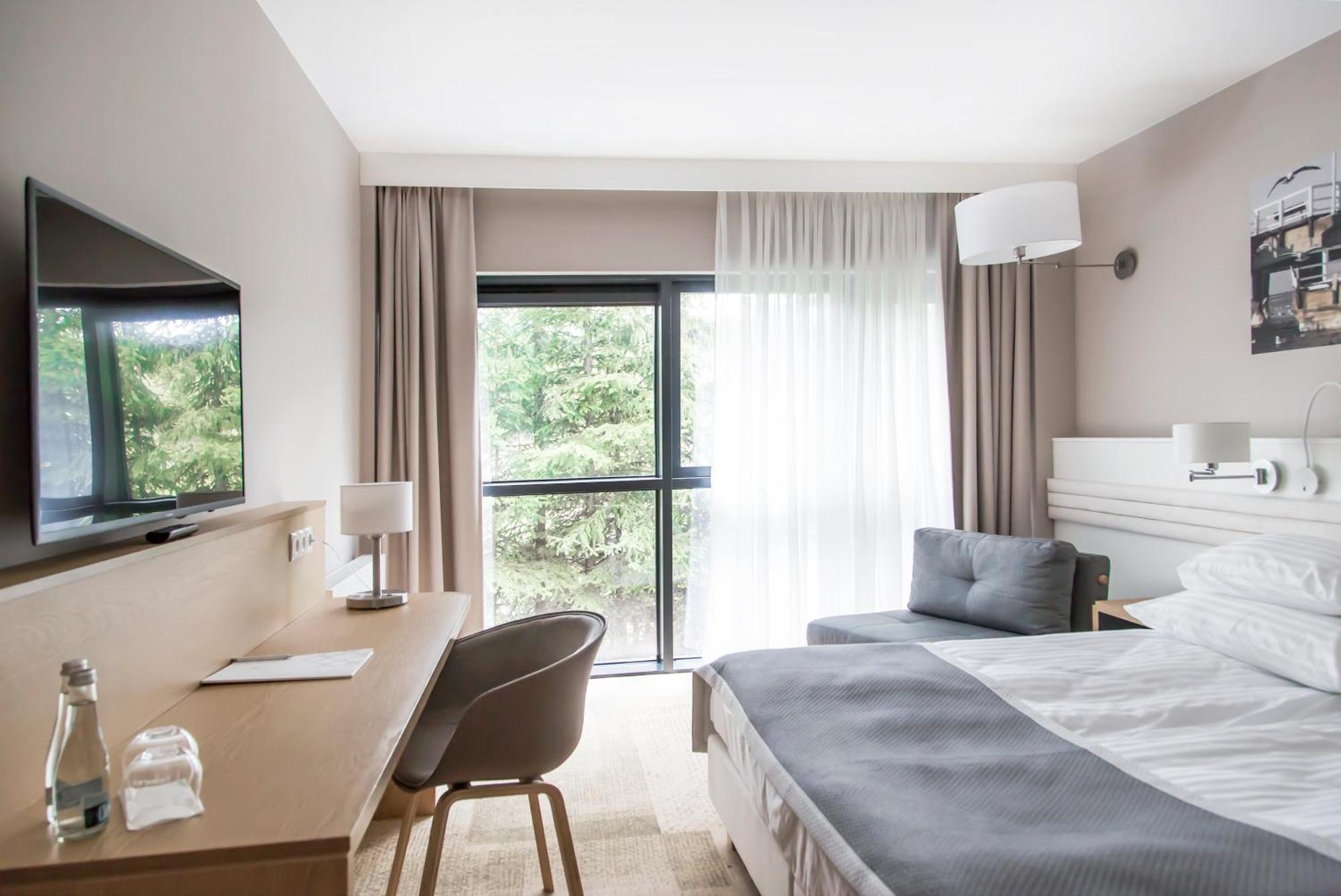 Large Single Room